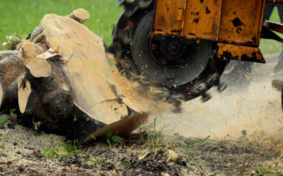 How Stump Grinding Works