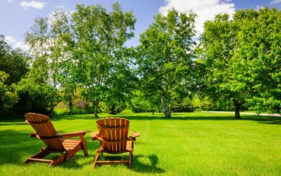 Enhance your Okanagan Property with Arbor Worx Tree Service