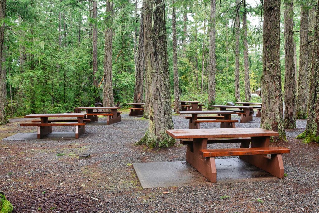 park benches in the BC forest