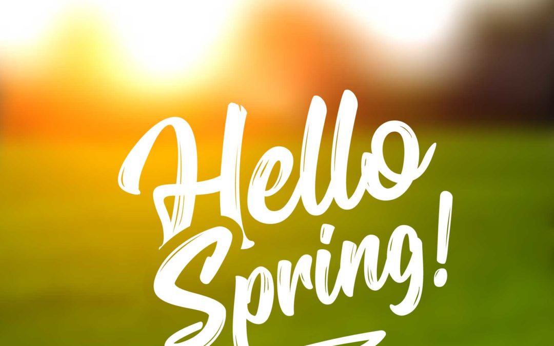 Spring Cleanup and Tree Care Tips for Kelowna Homeowners